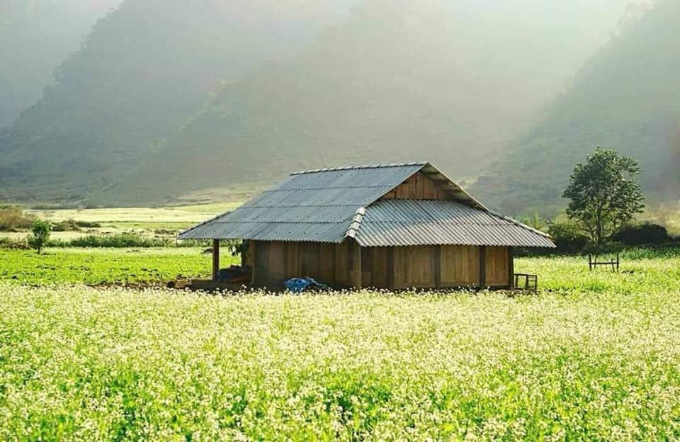 Tour Mộc Châu - Mai Châu